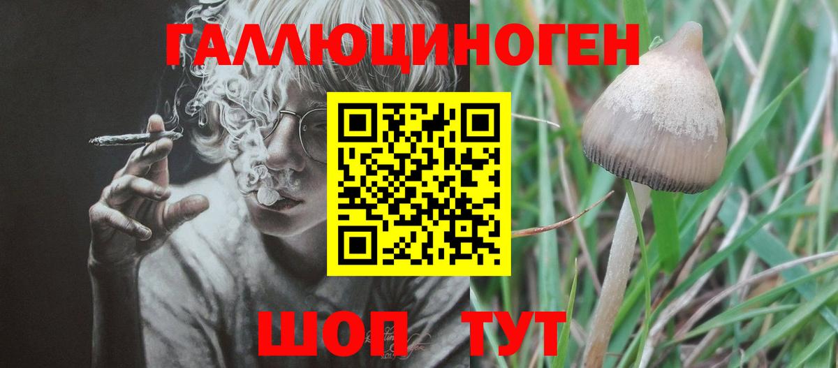 Галлюциногенные грибы Psilocybe  Псилоцибиновые грибы мицелий  Междуреченск  Вход с VPN 